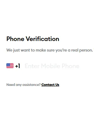 screenshot of raya's application form for phone verification