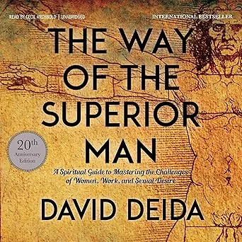The Way of the Superior Man by David Deida